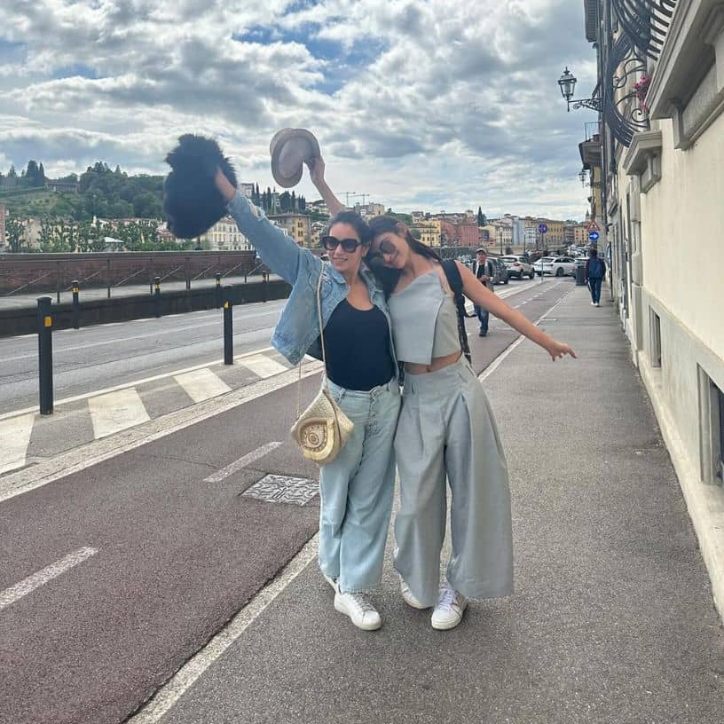 Description of the pic