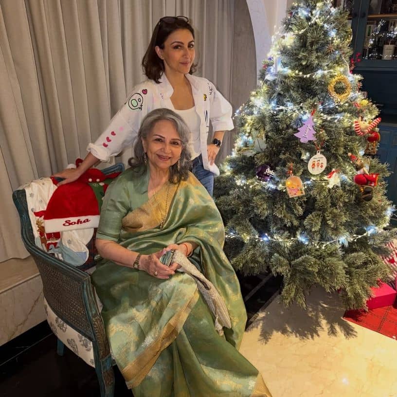 Description of the pic