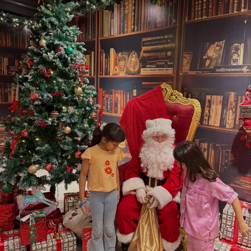 Description of the pic