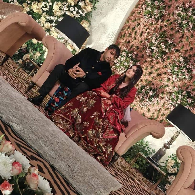 Description of the pic