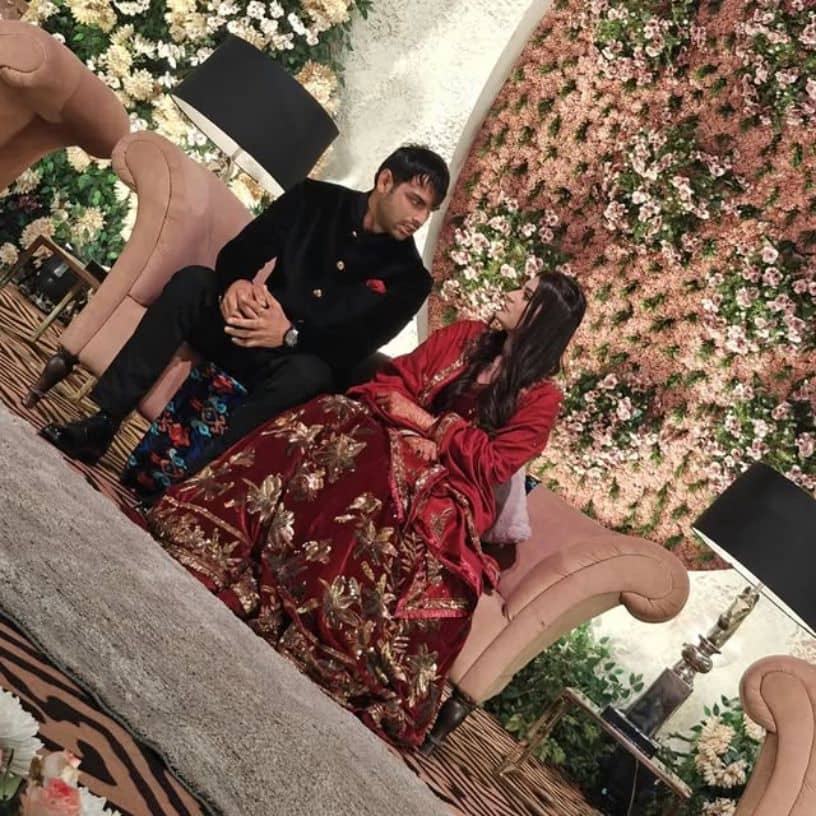 Description of the pic