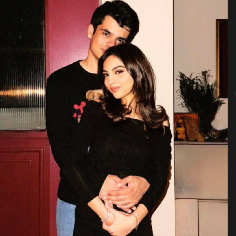 Description of the pic