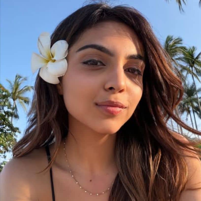 Description of the pic