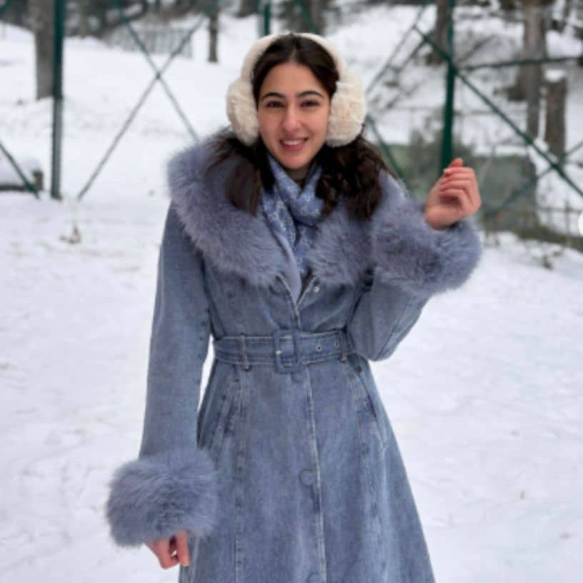 Description of the pic