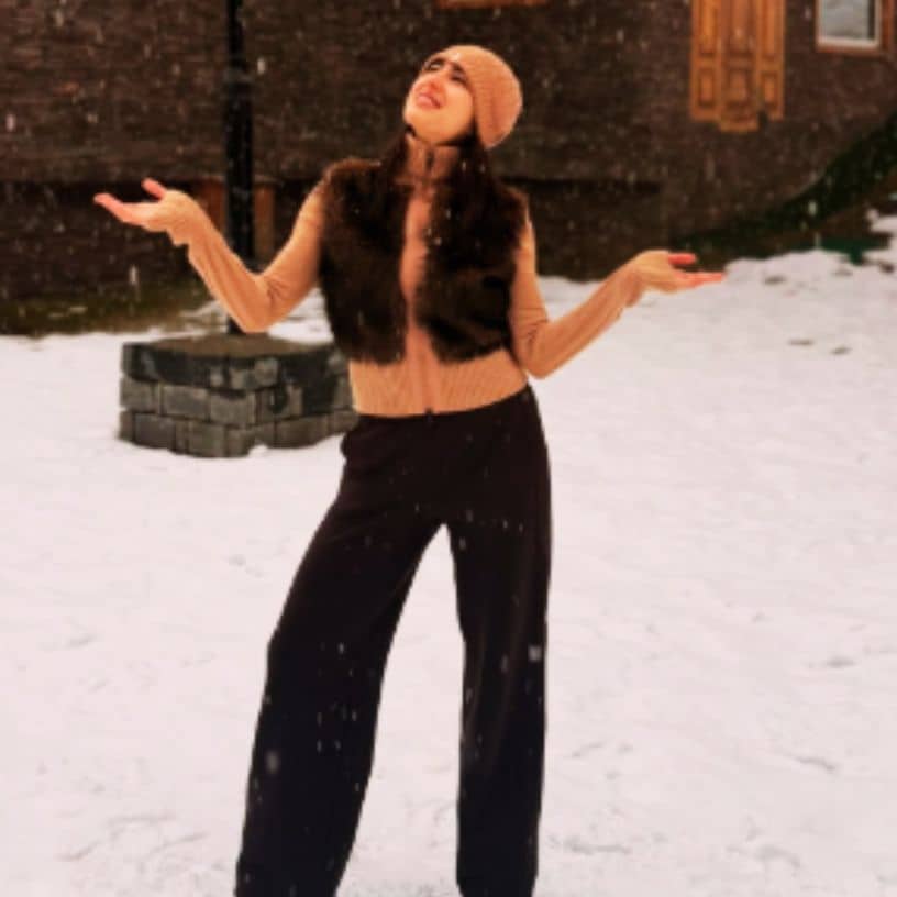 Description of the pic