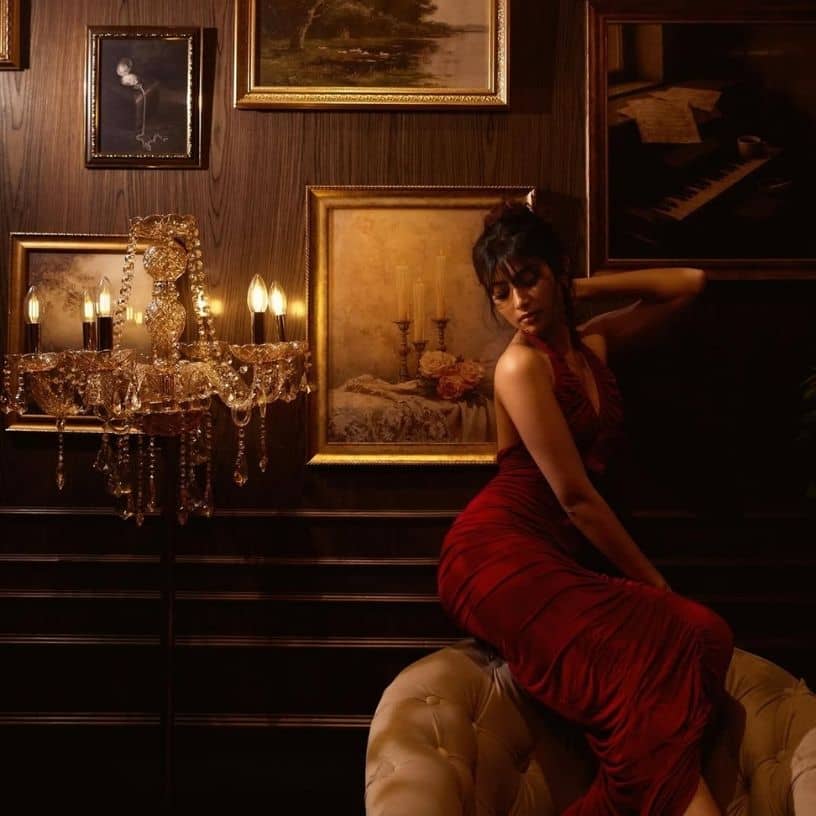 Description of the pic