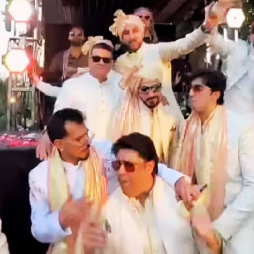 Description of the pic