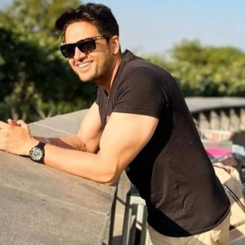 Description of the pic