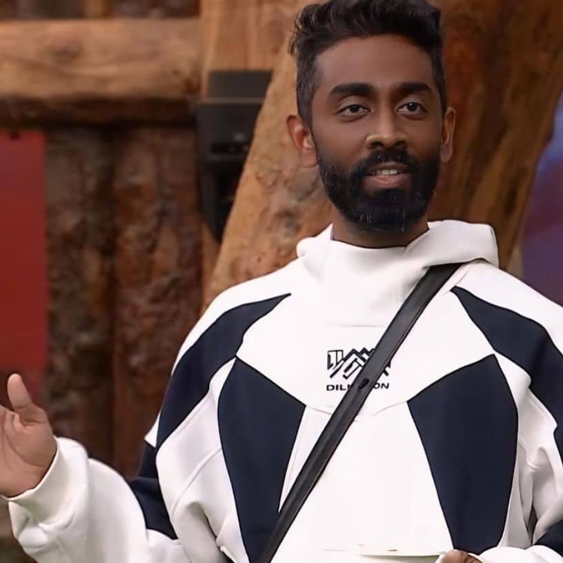 Description of the pic