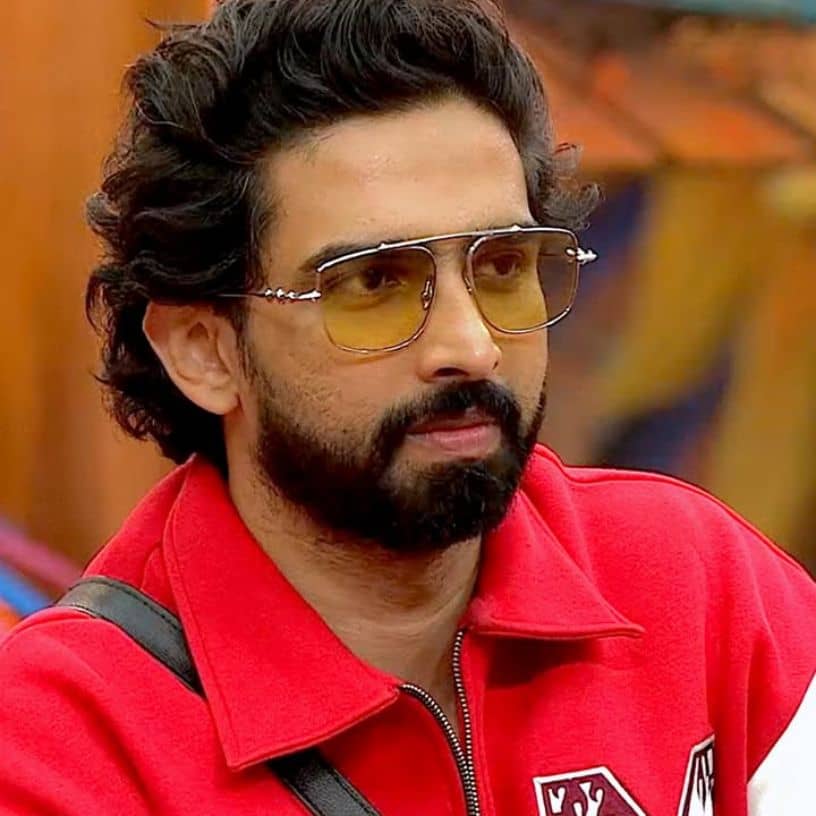 Description of the pic