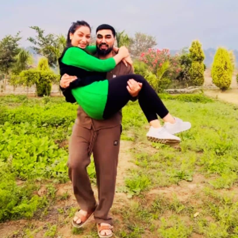 Description of the pic