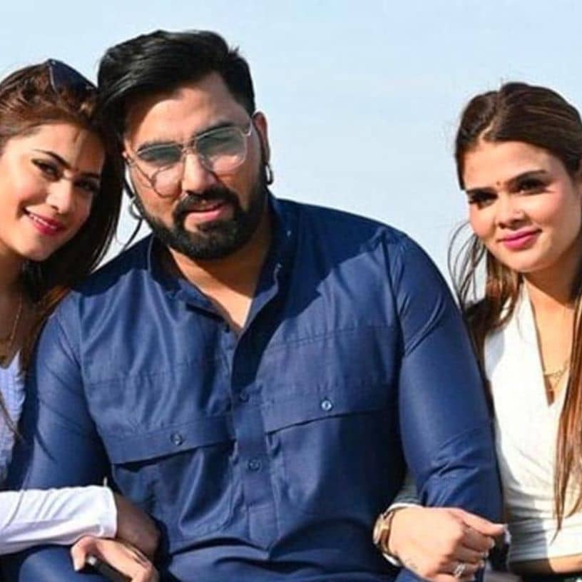 Description of the pic