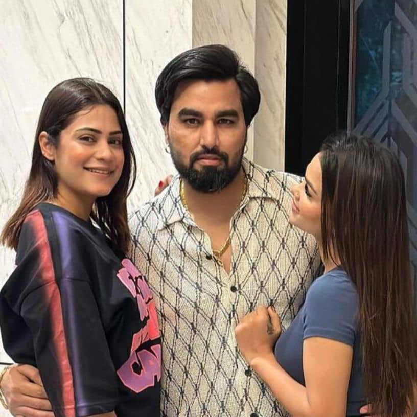 Description of the pic