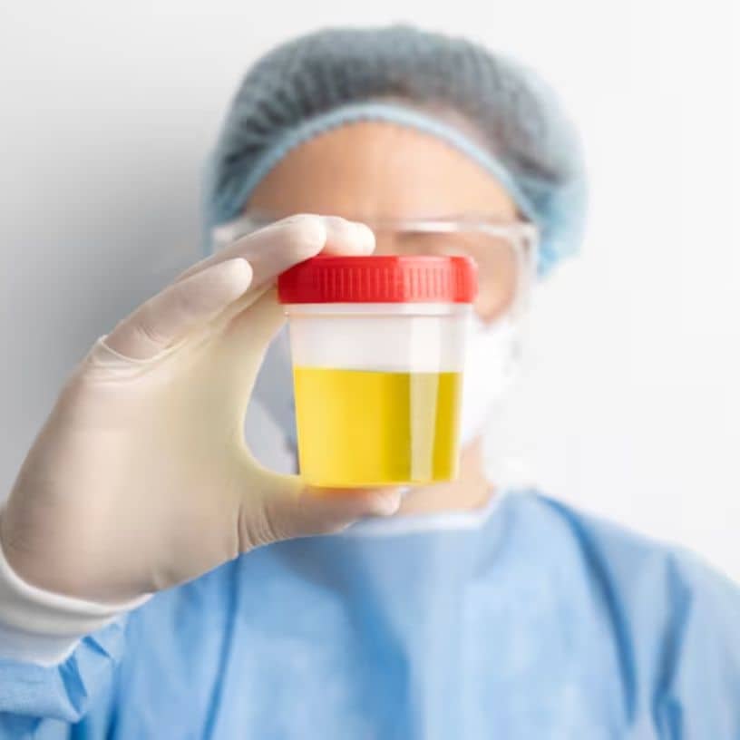 Description of the pic