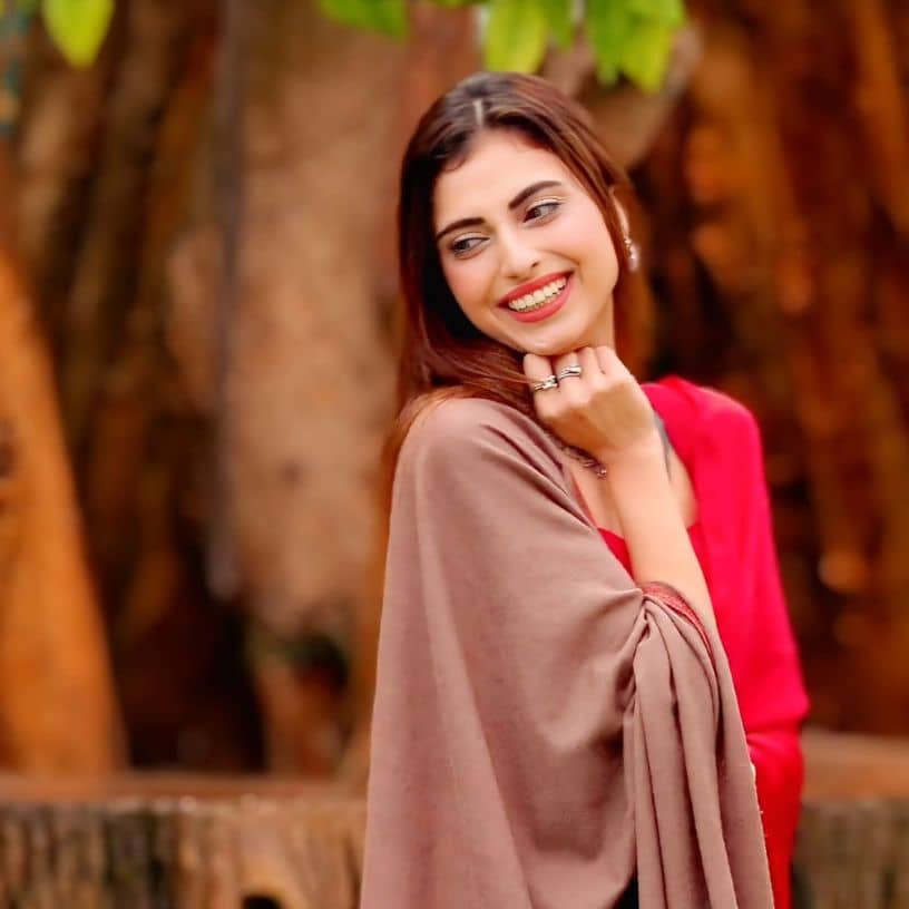 Description of the pic