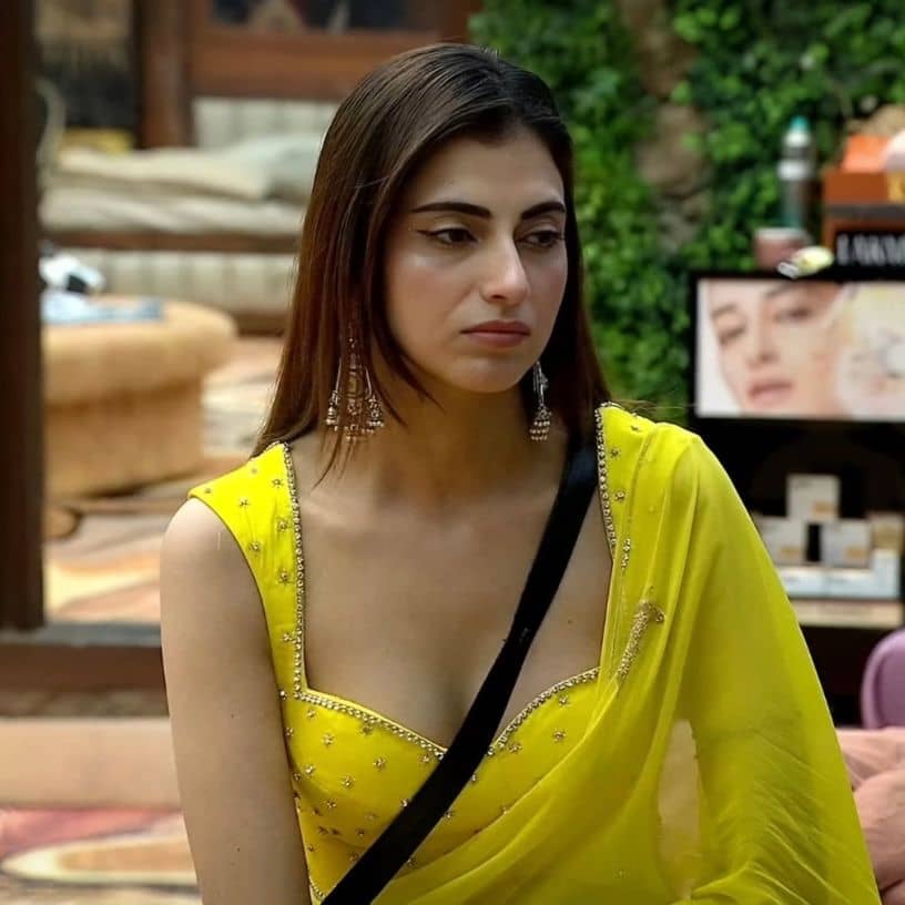 Description of the pic