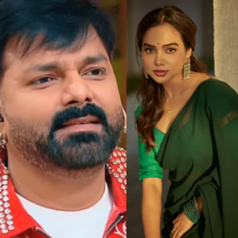 Description of the pic