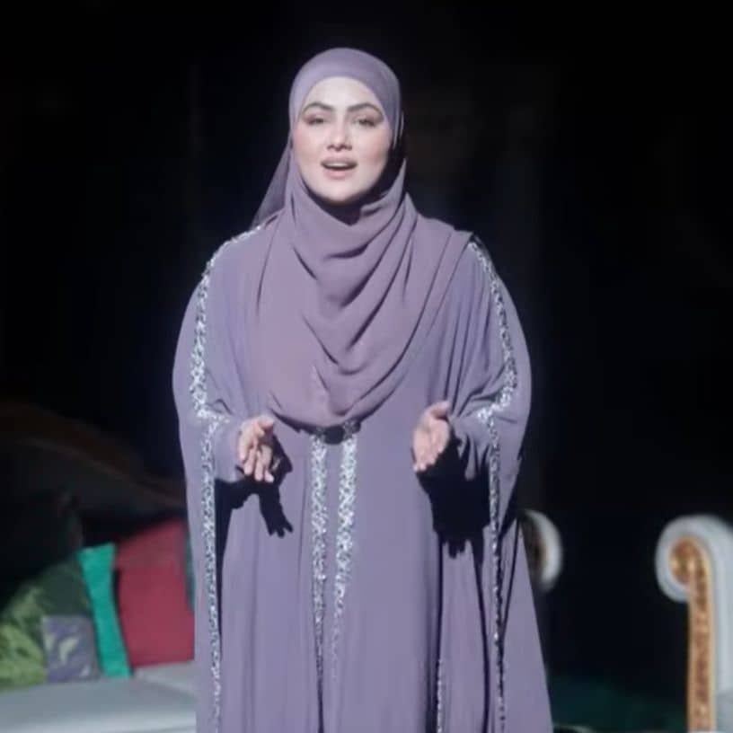 Description of the pic