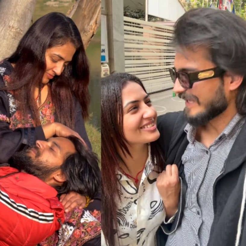 Description of the pic