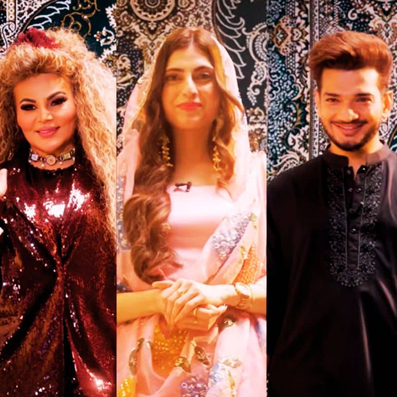 Description of the pic