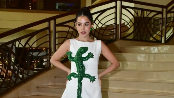 Description of the pic