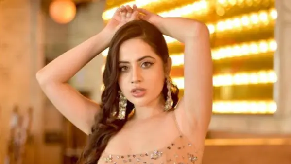 Description of the pic