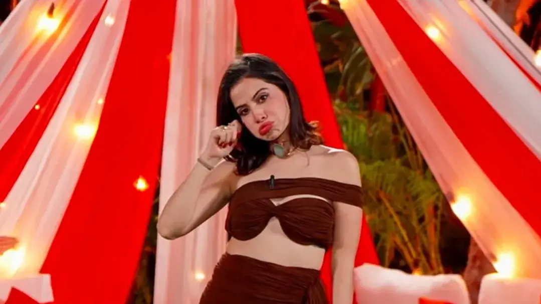 Description of the pic