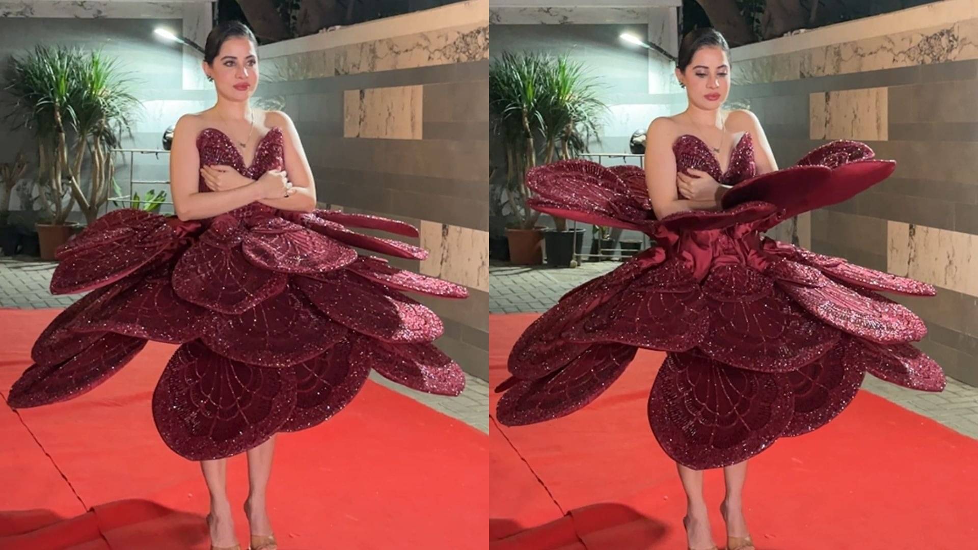 Description of the pic