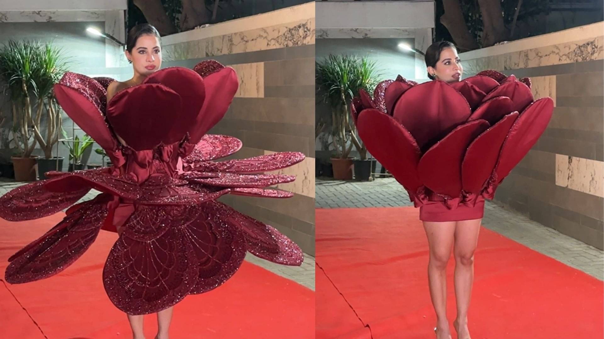 Description of the pic