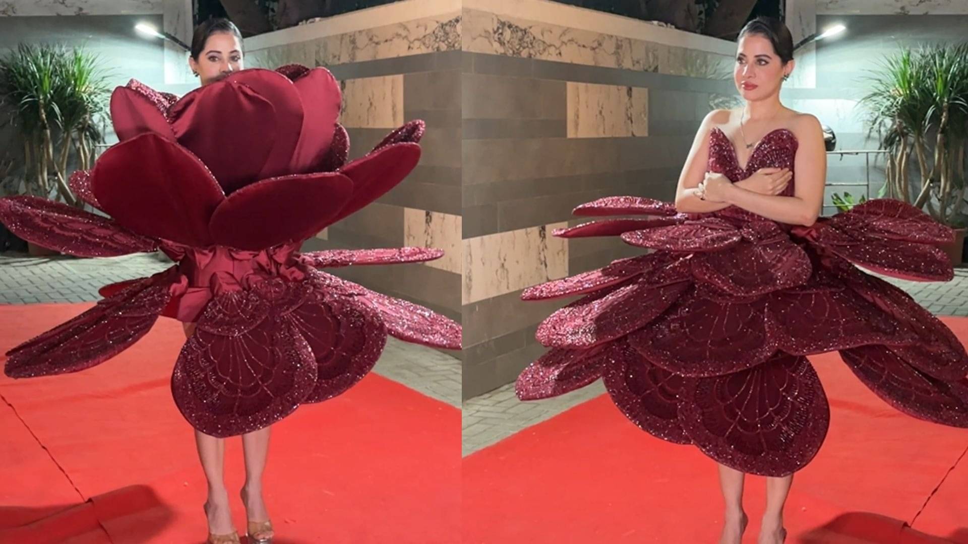 Description of the pic