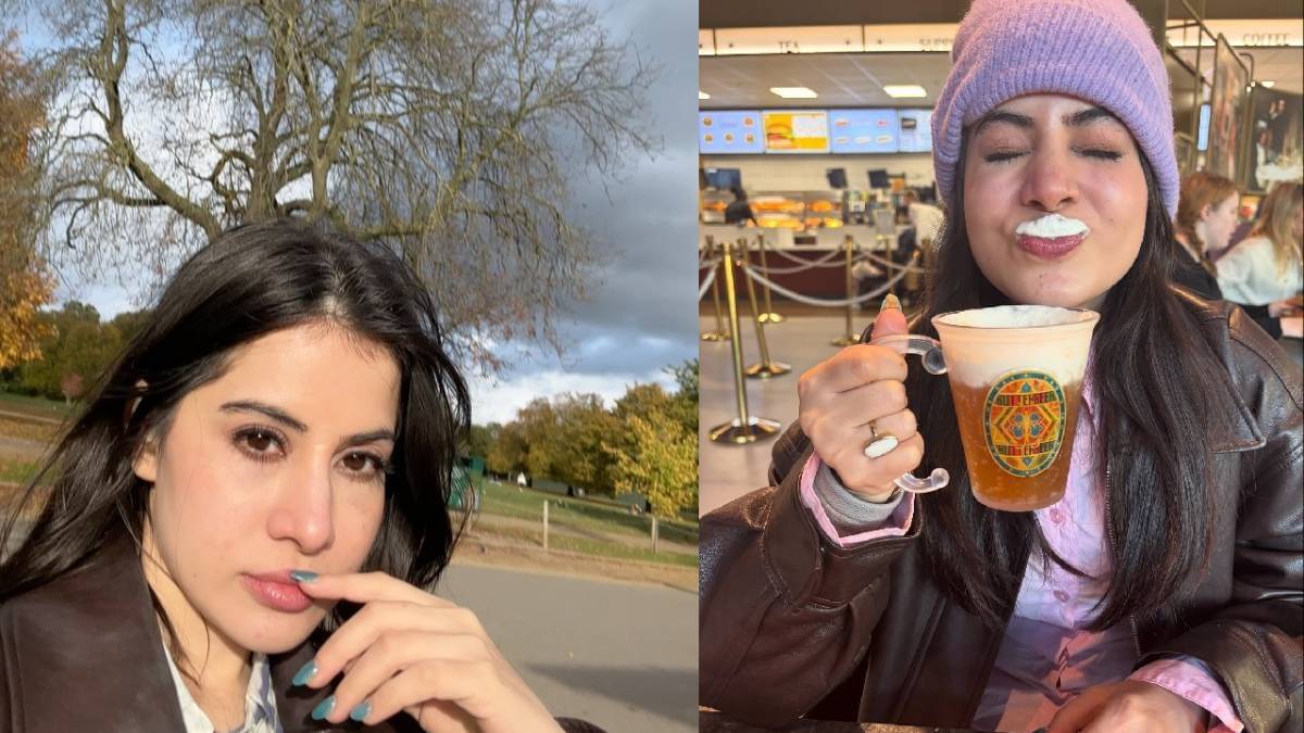 Description of the pic