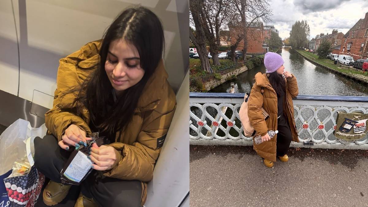 Description of the pic