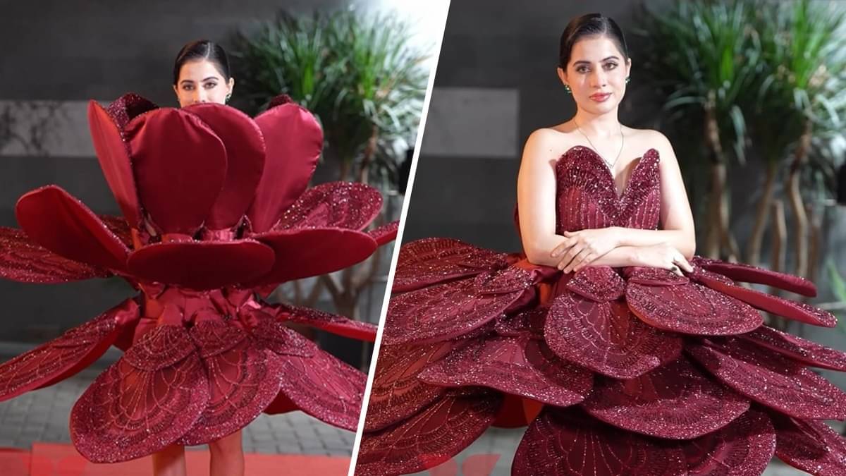 Description of the pic