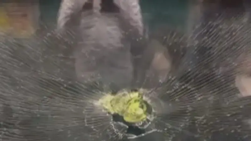 UP: Stones Thrown at Dehradun-Bound Shatabdi Express, Probe on UP: Stones Thrown at Dehradun-Bound Shatabdi Express, Probe on