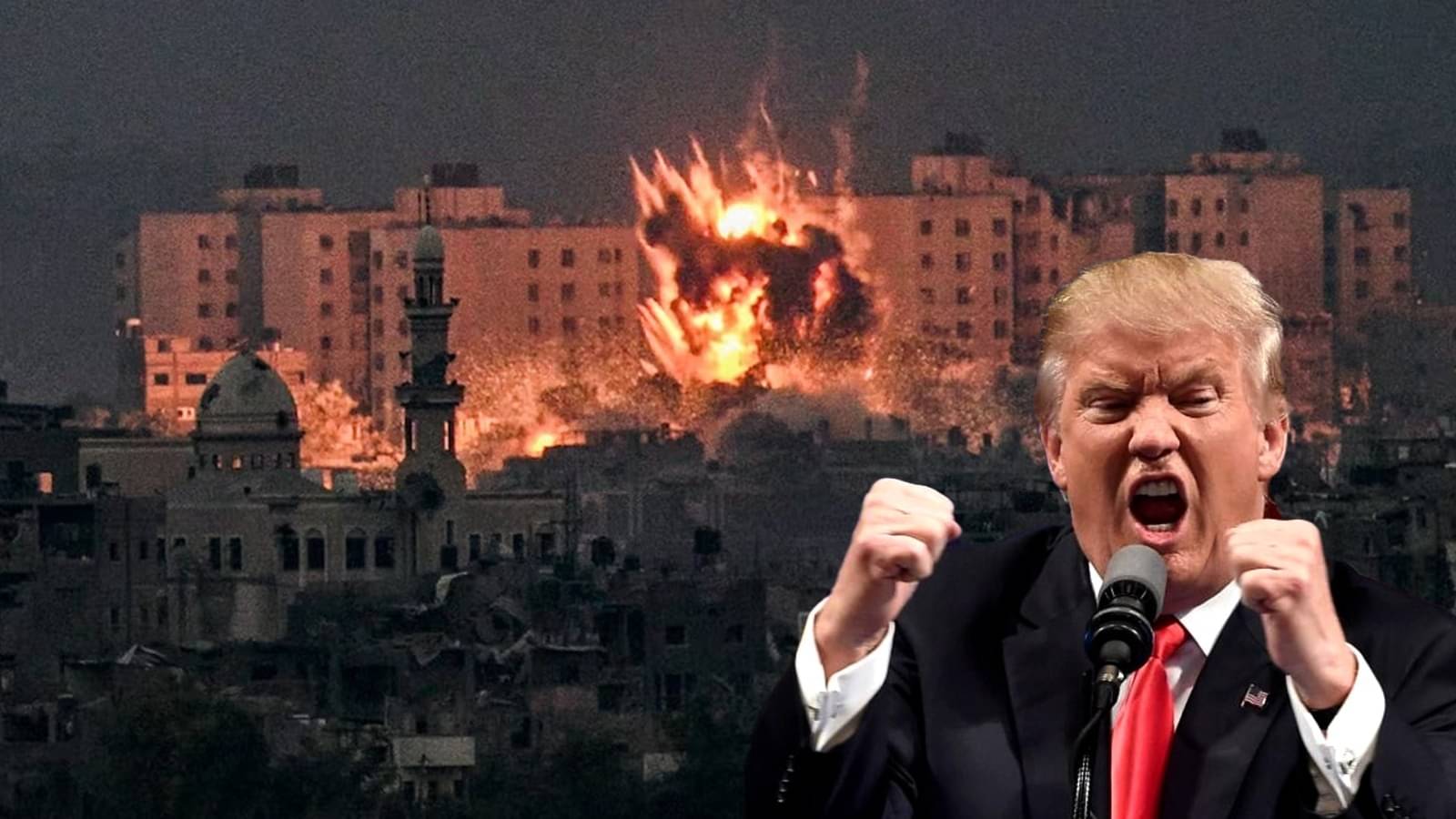 US President Donald Trump has asked Israel to stop bombing the Gaza Strip after Hamas said it had accepted some elements of his plan to end the nearly two-year war.