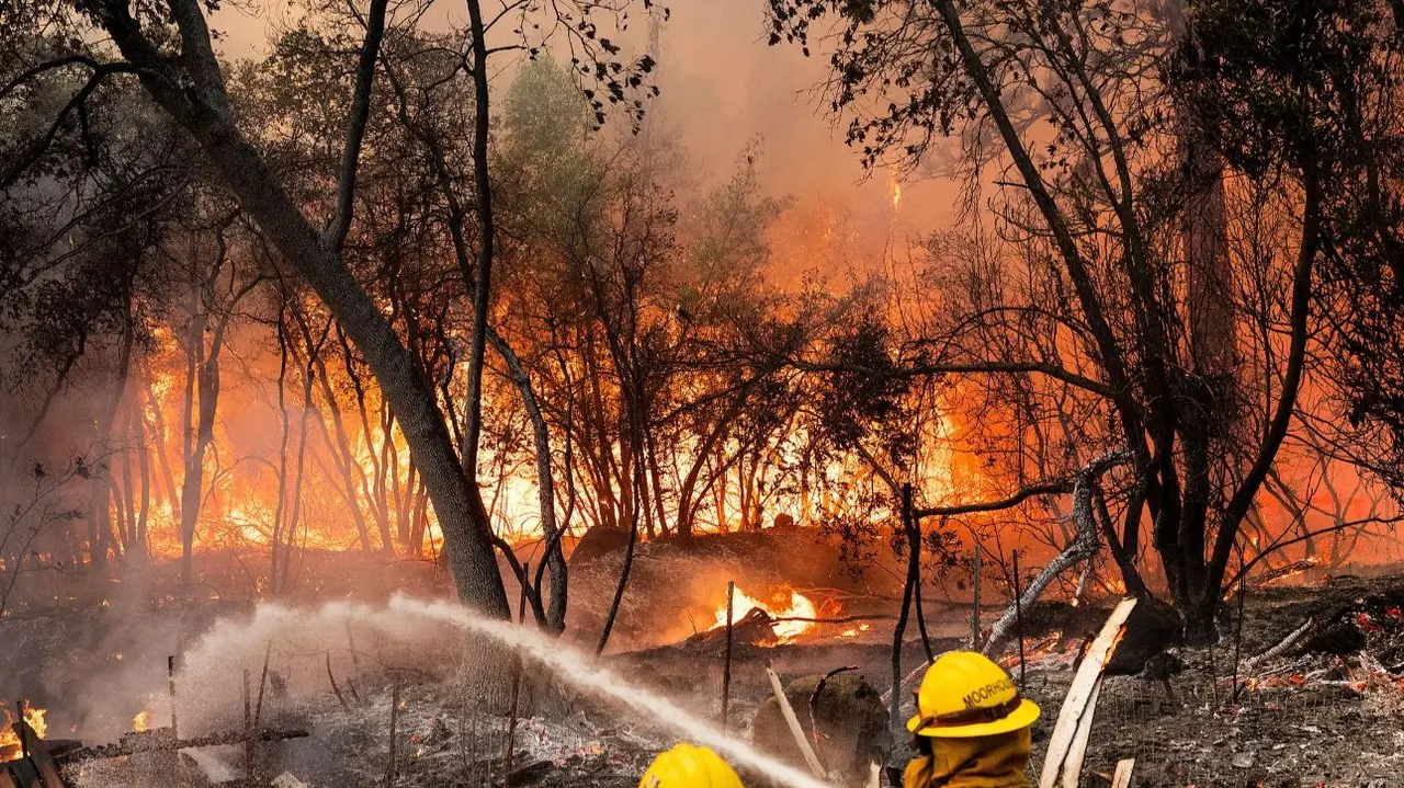 Stunned, Tearful: Los Angeles Struggles to Contain Deadly Wildfires; 11 Dead, Nearly 200,000 Evacuated US Wildfires