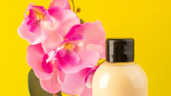 Description of the pic