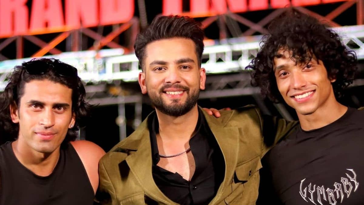 Description of the pic