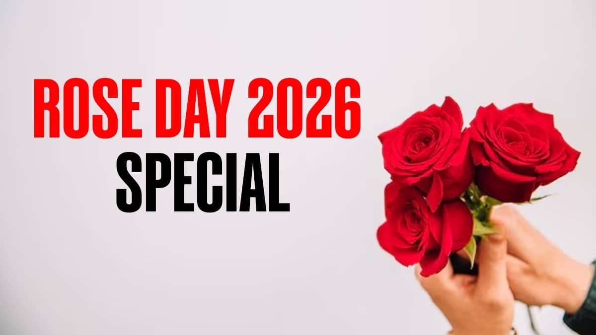 Valentines Week begins with rose day on February 7