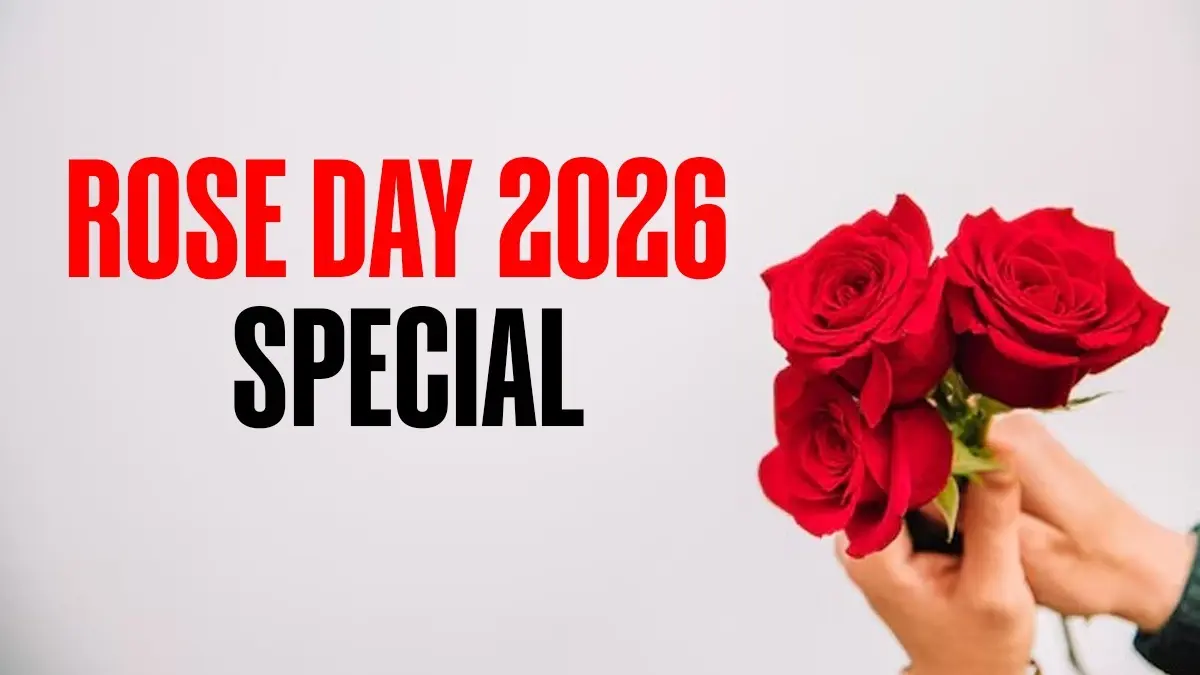 Valentine’s Week 2026: Red For Love And Yellow For Friendship, Ahead Of Rose Day, Know What Each Rose Colour Really Means Valentines Week begins with rose day on February 7