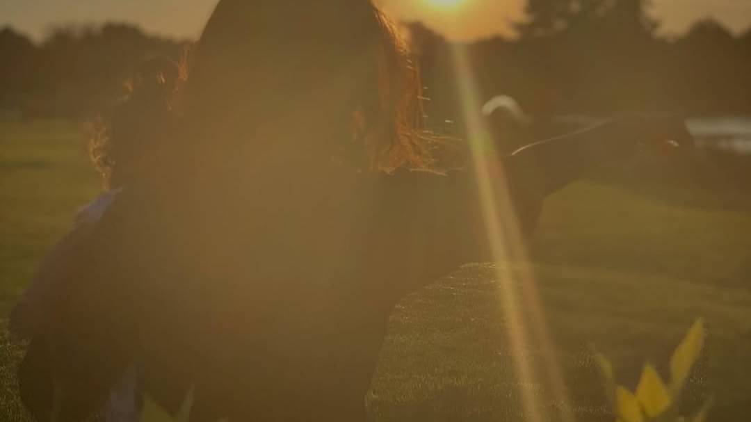 Description of the pic