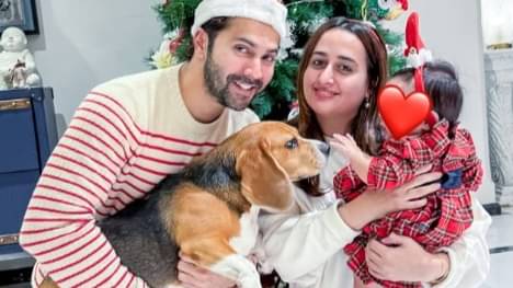 Description of the pic