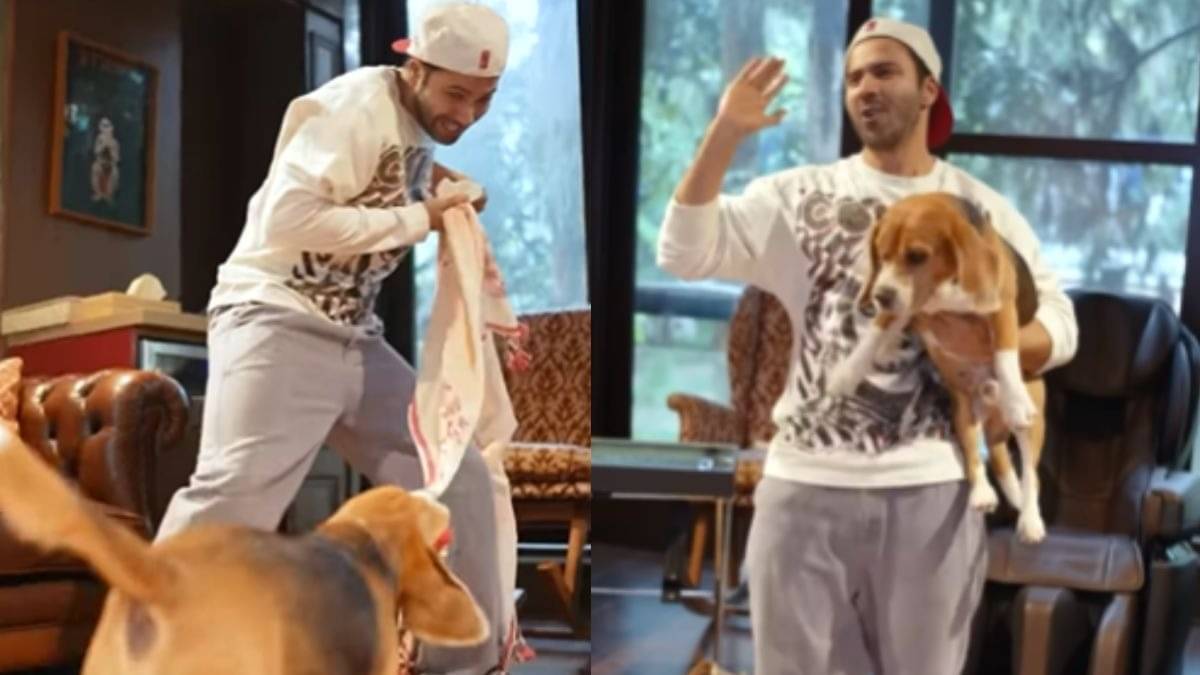 Description of the pic