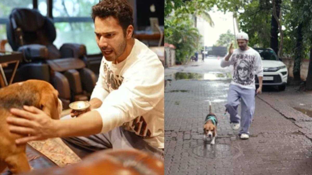 Description of the pic