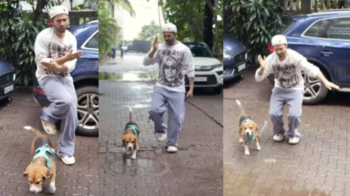 Description of the pic