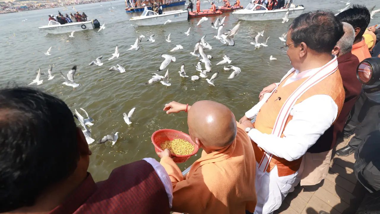 विदेशी परिंदों की संगम में मौजूदगी