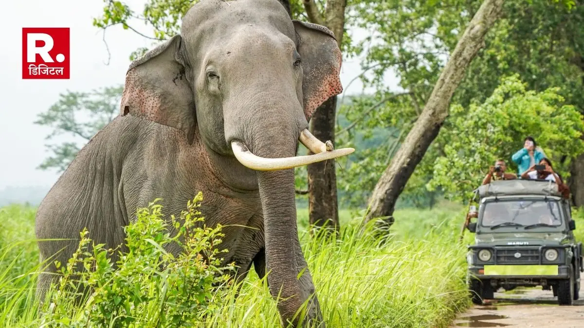 VIRAL : Elephant got furious after seeing people on picnic