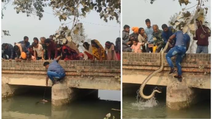 Viral Video: Man Grabs Massive Python Barehanded in Canal Rescue ...