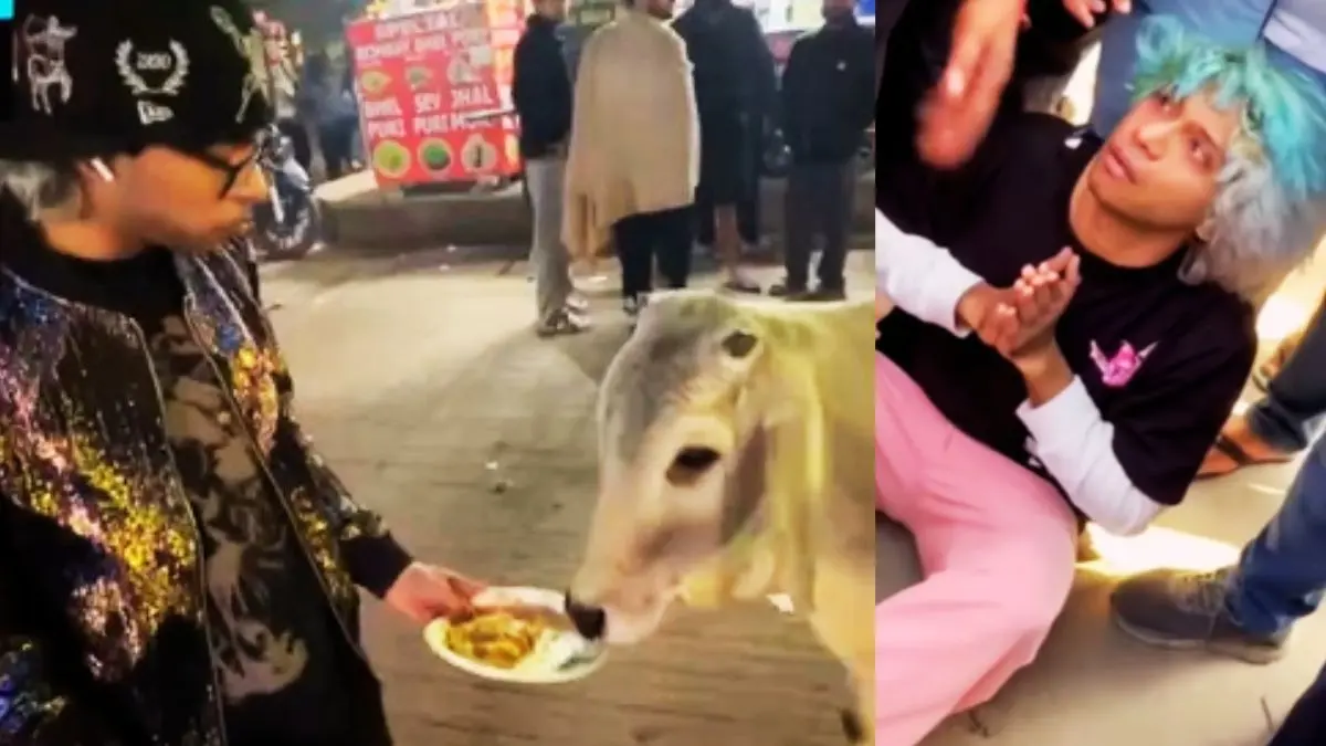 गुरुग्राम में 'महापाप'! यूट्यूबर ने गाय को खिलाया चिकन मोमोज, भड़के हिंदू संगठन ने की जमकर धुनाई; VIDEO VIRAL Viral Video