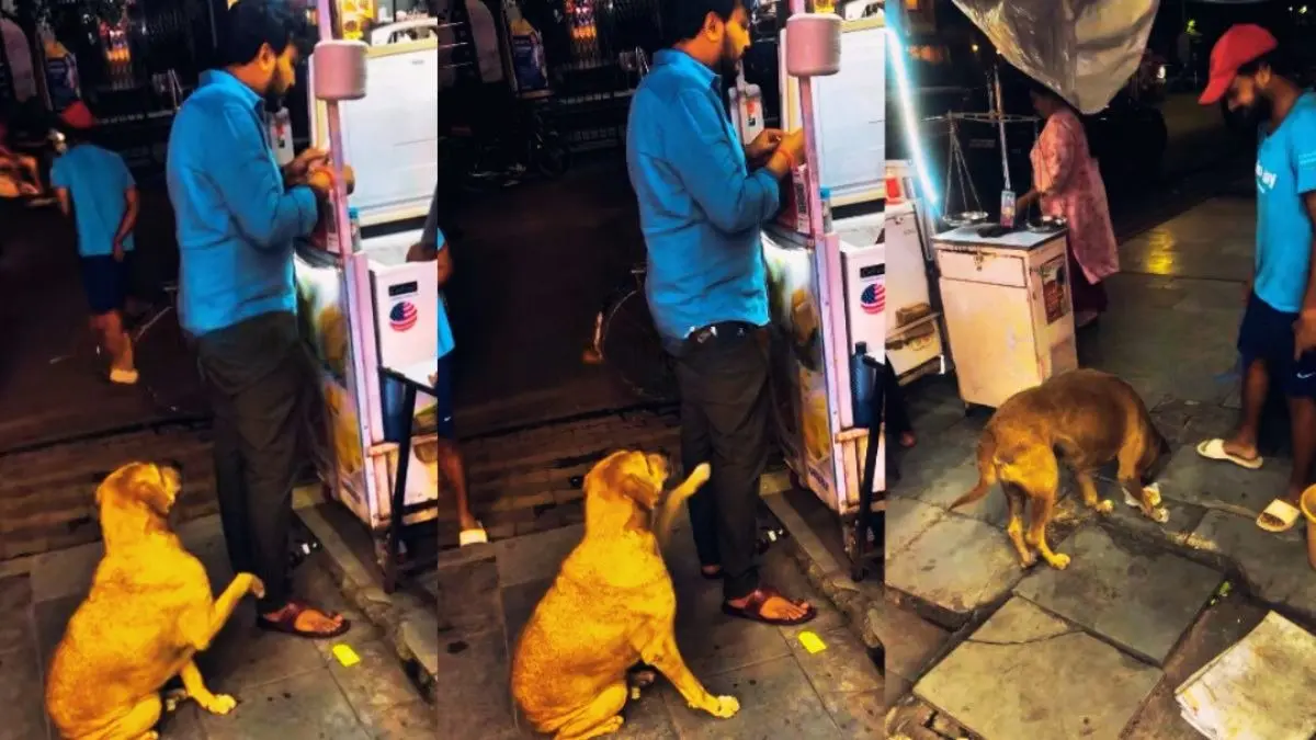 VIDEO: फूड स्टॉल के पास बैठा था कुत्ता, युवक को देख खाने की तरफ किया इशारा; फिर हुआ कुछ ऐसा जिसने नेटिजंस का जीत लिया दिल Viral Video